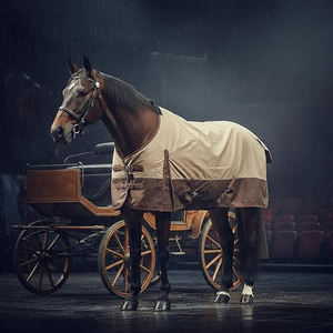 Manta para Caballo Impermeable y Transpirable de 1200 Denier, Marca TGW RIDING, Modelo Standard Neck Turnout (78, Marrón Bronceado) - Product Image 1
