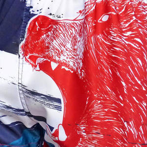 Shorts de boxe MMA de haute qualité avec logo personnalisé vêtements d'entraînement sportif de qualité pour les arts martiaux - Product Image 5