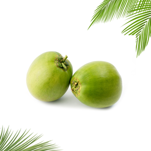 Approvisionnement mondial de noix de coco fraîches matures biologiques avec coquille directement de Ben Tre pour l'exportation - Product Image 2