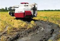 Yanmar thaïlande 2025 YH 850 D23W moissonneuse-batteuse de riz Machine 85HP haute Performance moteur puissant Durable prix bon marché