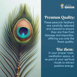 Home Genie Plumes de paon naturelles 10 à 12 pouces (paquet de 10) pour la décoration intérieure, l'artisanat et l'utilisation spirituelle - Product Image 6