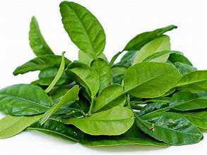 มะนาวแห้งเป็นมิตรกับมังสวิรัติใบสมุนไพรส้มธรรมชาติจากแหล่งพืชสำหรับระบบภูมิคุ้มกันเพิ่มและทำความสะอาดฉลากปรุงรส - Product Image 4