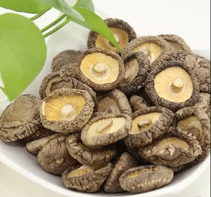 CHAMPIGNONS SHIITAKE NATURELS SÉCHÉS/HAUTE QUALITÉ/PRÊT À L'EMPLOI POUR LA CUISINE ASIATIQUE ET LES PLATS INTERNATIONAUX - Product Image 3