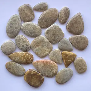 10mm 20mm 30mm Natural Fossil Coral Smooth Free Size Loose Cabochon Gemstone for Jewelry Making Rings Necklace Pendant Wholesale