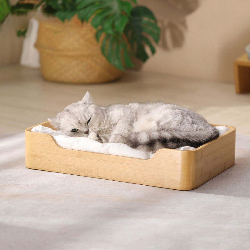 ธรรมชาติ