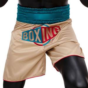 Shorts de boxe 2026 personnalisés avec logo de haute qualité, grandes tailles, shorts de sport pour hommes, shorts streetwear pour hommes, logo personnalisé - Product Image 5