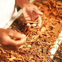 Éclats de cannelle de Ceylan du Sri Lanka DP n° 1 Or brut séché 1kg Durée de conservation de 5 ans pour la vente en gros