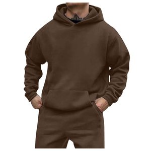 16.9oz 480gsm poids lourd coton Plus velours pull à capuche hommes épaissi serré polaire pull à capuche femmes sweat - Product Image 6