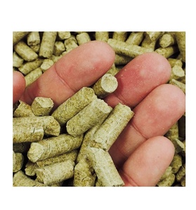 Compre Pellets de Cáscara de Maíz al por Mayor, Combustible de Calentamiento Eficiente de Primera Calidad, Perfecto para Necesidades Energéticas a Gran Escala - Product Image 2