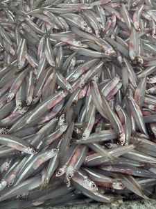 ANCHOVAS SECAS PREMIUM - SABOR NATURAL A MARISCOS, PROCESADAS DE MANERA LIMPIA Y ATENTIVA - Product Image 2