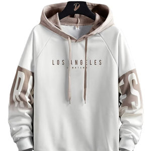 Nuevas sudaderas con capucha casuales Pullover Heavyweight Oversized Plain Sudaderas con capucha de manga larga - Product Image 1