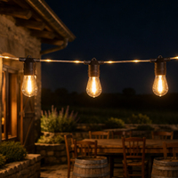 Guirlande lumineuse LED S14 de 10 m avec 20 ampoules, fil en caoutchouc noir, pour extérieur, jardin, patio - Fournisseur en gros