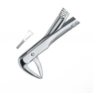 Pince à extraire les dents Fig74 XN Produits de logo personnalisé de qualité supérieure Instruments dentaires en acier inoxydable - Product Image 5