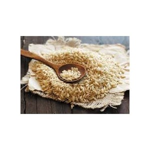 Riz brun non basmati d'origine brésilienne de haute qualité pour la transformation des aliments et l'utilisation domestique en vrac - Product Image 1