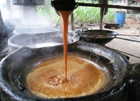 Mélasse de canne à sucre noire naturelle liquide, mélasse noire, crème de mélasse de canne à sucre du Vietnam, haute qualité