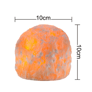 Usine nouvelle veilleuse en cristal de l'Himalaya personnalisée coquillage sculpté décor à la maison avec des briques de sel naturel de style amour et animal - Product Image 5