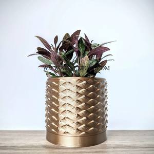 Design minimaliste brillant plaqué or métal jardinière maison hôtel et Restaurant fleur plante décoration jardinière forme indien - Product Image 4