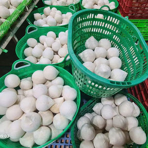 Noix de coco vietnamiennes fraîches de la ferme au fret prêtes à être dégustées en agrumes - Product Image 1