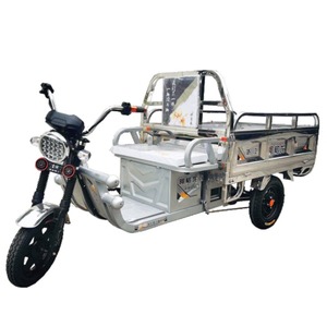 Tricycle électrique de transport de marchandises, véhicule utilitaire à trois roues, camion de livraison léger, 60V, carrosserie en métal argenté - Product Image 1