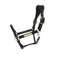 Vente en gros de l'ensemble complet d'endurance de cheval en cuir comprend des licous en PVC style bride équipement de pointe livraison directe disponible