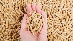 Bûches de bois dur ENplus A1 – Combustible durable pour les marchés d'exportation – Haute valeur calorifique 4500J, faible teneur en cendres 2,5 %, haute densité - Product Image 2