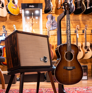 I738135N Personalizado # Guitarra Electroacústica 25 C22e con Amplificador de Guitarra Acústica AV150-10 Combo - Product Image 4