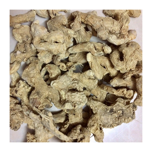 Gingembre séché naturel du Vietnam-Offre Spéciale tranche de gingembre déshydratée et racine entière pour une utilisation-Gingembre séché de haute qualité par 99G - Product Image 3