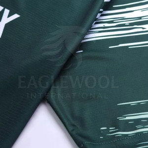 Camiseta de Tenis Personalizada con Logotipo, Fabricada en Pakistán, MOQ Bajo, Diseño Nuevo, 100% Poliéster, Secado Rápido, Transpirable, Cuello Redondo - Product Image 5