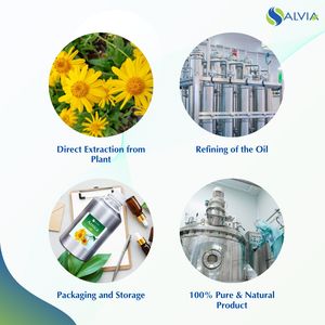 Huile d'arnica 100% pure et naturelle Vente en gros en vrac Prix le plus bas Emballage personnalisé - Product Image 4