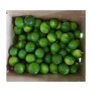 Lima fresca sin semillas de origen vietnamita, limón verde jugoso para procesamiento de alimentos, cocina, decapado, bebida, uso al por mayor - Product Image 2