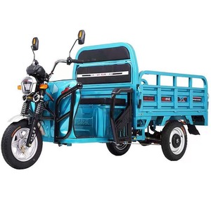 Tricycle électrique bleu fermé à trois roues, véhicule de livraison léger, utilisation commerciale, transport utilitaire, 60V - Product Image 6