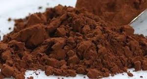 Fèves de cacao torréfiées Forastero à vendre | Graines de cacao fermentées biologiques et naturelles pour l'exportation et la transformation - Product Image 4
