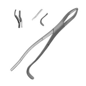 Wolfman Razor Pinza Estrattore Dente Lupo Per Equini, In Acciaio Inox Atraumatico - Strumento Dentale Veterinario Pinza Atraumica Equini - Foto 13