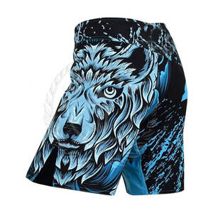 <b>For</b> <b>Sale</b> Made in Pakistan Customized Colors Men's MMA Shorts Breathable Quick Dry Light <b>Weight</b> Spandex/Polyester - Product Image 5