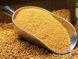 Harina de Soja Fermentada con 50% de Proteína Cruda - Compre Harina de Soja Fermentada con 50% de Proteína Cruda en Venta - Product Image 6