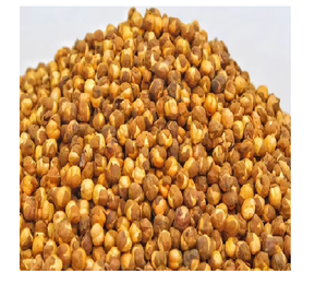 Healthy Nutritious Chana Bhuna Bulk 500gm Roasted Gram Rich in Protein and Fiber Premium Quality for Daily <b>Snacking</b> - Product Image 1