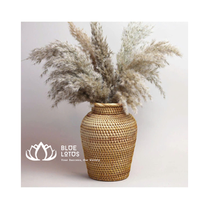 Nuevo producto, florero Vintage de ratán Natural, botella de flores secas, botella de almacenamiento de vegetación de flores escandinavas, decoración - Product Image 3