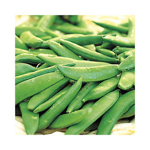 Suministro directo de fábrica de semillas de guisante hidrolizadas orgánicas frescas de alta calidad alimentaria - Product Image 1