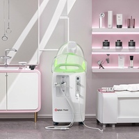 3 en 1 Spa Oxygen Jet Peel Facial Machine Mist Nano Oxygenation Dome O2 Oxygen Facial Machine