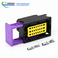 Connecteur étanche pour système de contrôle ECU DJ7242 211PC249S0005, fiche de faisceau de câbles automobile, logo personnalisé