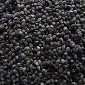 เมล็ดมะละกอบริสุทธิ์/ฉลากสะอาด/ดีท็อกซ์จากพืช - Product Image 1