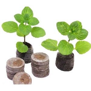 Pastilles de coco bio - Substrat de culture durable pour graines et semis - Product Image 1