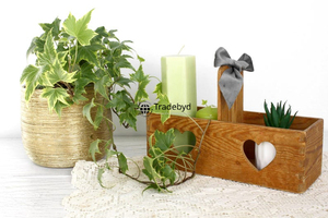 Boîte à épices en bois écologique faite à la main de qualité supérieure pour herbes, épices et assaisonnements de qualité alimentaire, lavable au lave-vaisselle-Tradebyd - Product Image 3