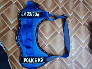 Dog Collar with Genuine Diamond Blanks Print Pattern Luxury Style Nylon Material Customizable Breed Size <b>Machine</b> Washable - Product Image 4