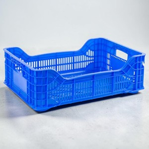DPK09: Cajas de plástico para frutas - Product Image 3