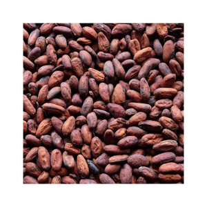 Fèves de cacao crues séchées au soleil de haute qualité, marque personnalisée allemande, fournisseurs et fabricants fiables, vente en gros, durée de conservation de 2 ans - Product Image 4