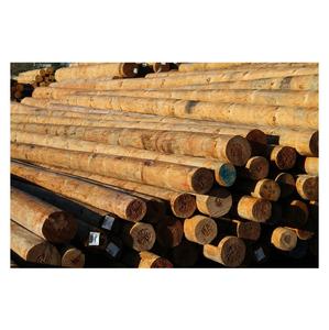 Postes de Pino Redondeados a Máquina - Postes de Madera de Alta Calidad para Cercas y Construcción - Product Image 6