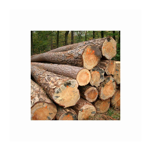 Bûches rondes en bois dur de chêne haute performance/fournisseur de bois de Belgique - Product Image 1