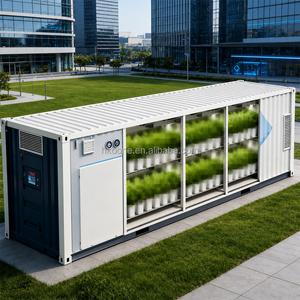 Contenedor de Cultivo de Plantas de Alta Producción con Sistema Automatizado de Dosificación de Nutrientes y Monitoreo Remoto del Entorno - Product Image 1