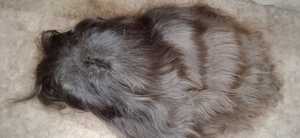 Pelucas de cabello humano con encaje frontal sin pegamento con cabello humano natural de la India - Product Image 6